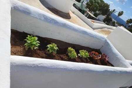 Fantastico Apartamento Con Terraza Y Vistas Al Mar Costa Teguise Bagian luar foto